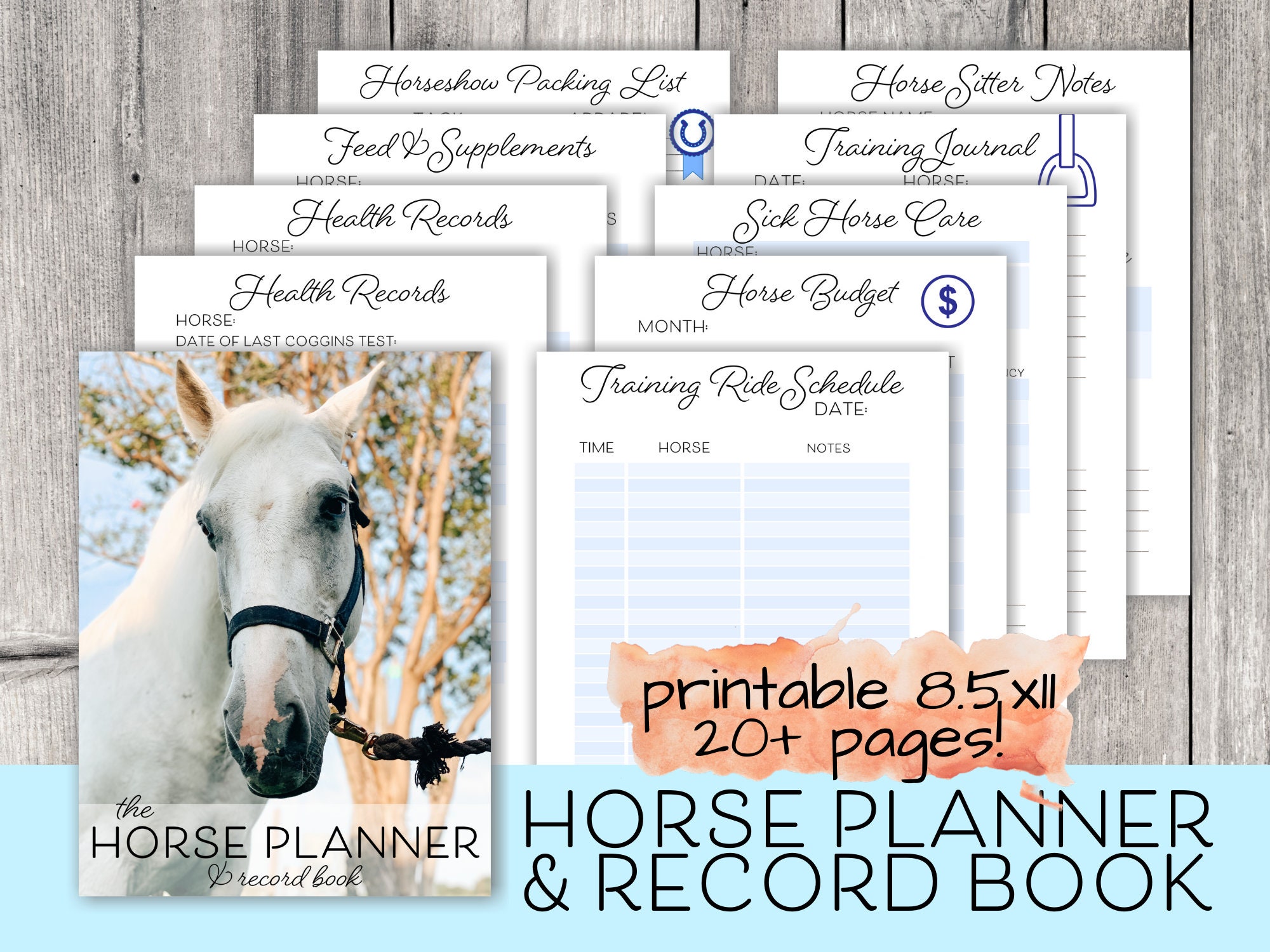 The Importance of a Good Horse Care List